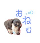 むぎむぎこ（個別スタンプ：3）
