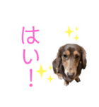 むぎむぎこ（個別スタンプ：4）