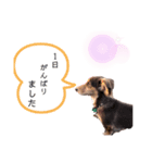 むぎむぎこ（個別スタンプ：5）