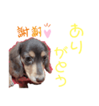 むぎむぎこ（個別スタンプ：7）
