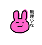 知っているウサギ（個別スタンプ：13）