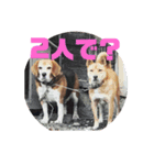 たまご家髙橋（個別スタンプ：5）