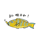 沖縄にすむ魚たちの日常（個別スタンプ：31）