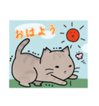 近所のねこちゃんズ（個別スタンプ：1）