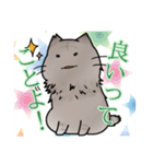 近所のねこちゃんズ（個別スタンプ：4）