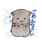 近所のねこちゃんズ（個別スタンプ：9）