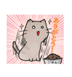 近所のねこちゃんズ（個別スタンプ：12）