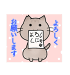 近所のねこちゃんズ（個別スタンプ：13）