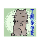 近所のねこちゃんズ（個別スタンプ：14）