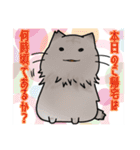 近所のねこちゃんズ（個別スタンプ：16）