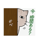 近所のねこちゃんズ（個別スタンプ：17）