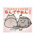 近所のねこちゃんズ（個別スタンプ：18）