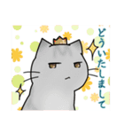 近所のねこちゃんズ（個別スタンプ：27）
