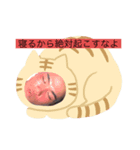 かわゆい啓太（個別スタンプ：3）