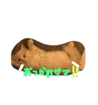 子猫のライぼうや♪（個別スタンプ：3）