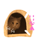 子猫のライぼうや♪（個別スタンプ：6）