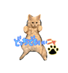 子猫のライぼうや♪（個別スタンプ：7）