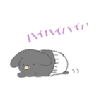 うささんとゆかいなおともだち2（個別スタンプ：24）
