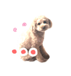ムギちゃん！（個別スタンプ：2）