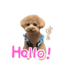 ムギちゃん！（個別スタンプ：3）