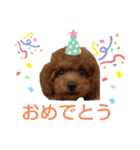 愉快な動物runa（個別スタンプ：4）