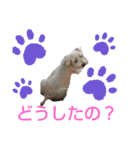 愉快な動物runa（個別スタンプ：5）