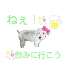 愉快な動物runa（個別スタンプ：7）