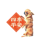 油絵チワワ（個別スタンプ：15）