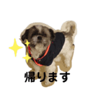 コテツ(日常編)（個別スタンプ：2）
