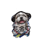 コテツ(日常編)（個別スタンプ：6）
