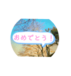不2さん第二世代（個別スタンプ：1）
