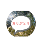 不2さん第二世代（個別スタンプ：2）