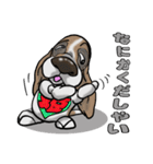 バセットハウンド(犬) 34（個別スタンプ：31）