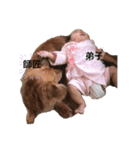 愛されひまりのスタンプ（個別スタンプ：6）
