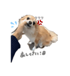 ぽっぽぽぽ（個別スタンプ：3）