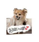 ぽっぽぽぽ（個別スタンプ：4）