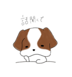 シーズーのりんすけ（個別スタンプ：3）