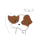 シーズーのりんすけ（個別スタンプ：4）