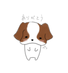 シーズーのりんすけ（個別スタンプ：5）