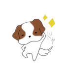 シーズーのりんすけ（個別スタンプ：9）