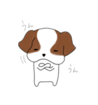 シーズーのりんすけ（個別スタンプ：10）