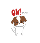 シーズーのりんすけ（個別スタンプ：11）