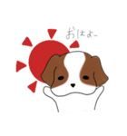シーズーのりんすけ（個別スタンプ：13）