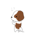 シーズーのりんすけ（個別スタンプ：16）