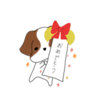 シーズーのりんすけ（個別スタンプ：17）