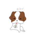 シーズーのりんすけ（個別スタンプ：19）