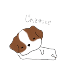 シーズーのりんすけ（個別スタンプ：25）