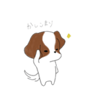 シーズーのりんすけ（個別スタンプ：27）