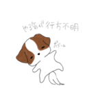 シーズーのりんすけ（個別スタンプ：30）