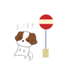 シーズーのりんすけ（個別スタンプ：33）
